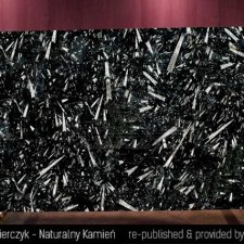 image 01-kamien-naturalny-marmur-fossil-black-jpg