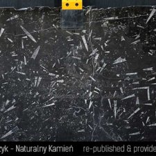 image 04-kamien-naturalny-marmur-fossil-black-jpg