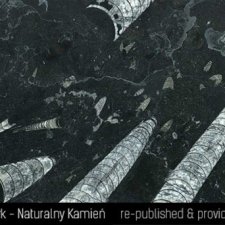 image 06-kamien-naturalny-marmur-fossil-black-jpg