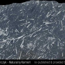 image 08-kamien-naturalny-marmur-fossil-black-jpg