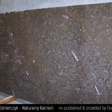 image 07-kamien-naturalny-marmur-fossil-brown-jpg